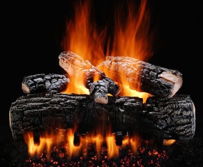 Hargrove: 21" Blazing Pecan Charred Log Set—primary view