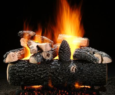 Hargrove: 21" Hargrove See-Thru Log Set—primary view